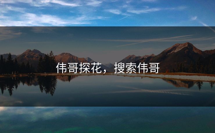 伟哥探花，搜索伟哥